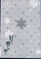 (C89) [Dennou Fuyu Mikan (Ueda Rieko)] Suki to Yuki to no Aida ni (Vocaloid)-(C89) [電脳冬蜜柑 (上田リエコ)] 好きと雪との間に (VOCALOID)