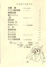 (C38) [Waku Waku Doubutsuen (Various)] Elf no Musume Kaiteiban - Die Elfische Tochter revised edition (Record of Lodoss War)-(C38) [わくわく動物園 (よろず)] エルフの娘 改訂版 ( ロードス島戦記)