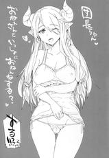 (COMIC1☆10) [RIBI Dou (Higata Akatsuki)] Sora no Sakaribi (Granblue Fantasy)-(COMIC1☆10) [RIBI堂 (陽方晶月)] ソラノサカリビ (グランブルーファンタジー)
