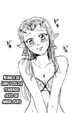 [Wasabi] Link to Zelda ga Jun Ai Ecchi suru Manga (The Legend Of Zelda) [Spanish] =Mr.MPD=-[わさび] リンクとゼルダが純愛えっちする漫画 (ゼルダの伝説) [スペイン翻訳]