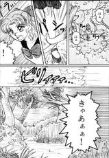 (story) Scream (Sailor Moon)-