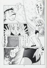 Pretty Soldier Sailor Moon R Shitei-