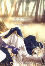 [Tex-Mex] Fate Over Lord (Fate/stay night)-