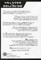 (CSP4) [Pixel Phantom (Kamiya Yuu)] Udonge no Shippo (Touhou Project)-(コミケットスペシャル4) [Pixel Phantom (榎宮祐)] うどんげのしっぽ (東方Project)