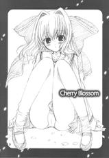 [HIMEGAMI] Cherry Blossom-