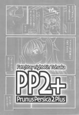 (C75)[Yakan Hikou (Inoue Tommy)] PP2+ (Fate)-(C75)[夜間飛行 (いのうえとみい)] PP2+ (Fate)