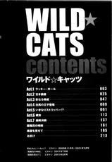 Takumi Kobayashi - Wild Cats-