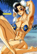 [Kuroi Inu no Daisharin] SEA (Street Fighter)-
