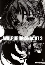 (C71)[Keumaya (Inoue Junichi)] Walpurugisnacht 3 (Fate/stay night)-(C71)[希有馬屋 (井上純弌)] ワルプルギルスの夜3 (Fate／stay night)