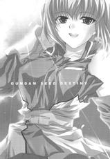 [FANTASY WIND] L-S (Kidou Senshi Gundam Seed Destiny) [English]-[FANTASY WIND] L-S (機動戦士ガンダムSEED DESTINY)