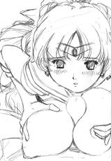 [Country Farm] Needle Garden Vol. 17 (Sailor Moon)-