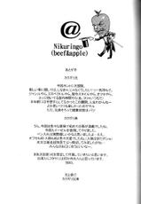 (C69) [Niku Ringo (Kakugari Kyoudai)] Nippon Onna Heroine (Various)-(C69) [肉りんご (カクガリ兄弟)] Nippon女Heroine