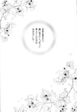 [Sakurakan] Hoshikuzu Drop (InuYasha)-[桜館] 星屑ドロップ (戦国お伽草子ー犬夜叉	)