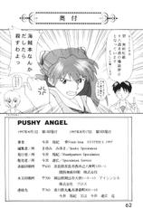 Pushy Angel [SYSTEM SPECULATION]-
