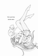 Sailor V (Bishoujo Senshi Sailor Moon) [English]-