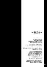 (C78) [Sakuya17sai (Moyomoto LV48)] Autumn Rice Field (Touhou Project)-(C78) [咲耶17歳 (もよもとLV48)] Autumn Rice Field  (東方)