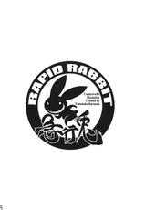 (C78) [Rapid Rabbit (Tomotsuka Haruomi)] Byoujo no Sho (Touhou Project)-(C78) [急行兎 (ともつか治臣)] 病女の書 (東方Project)