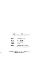 (C78) [G-SCAN CORP. (Satou Chagashi)] Princess Pleasure! (Princess Lover!)-(C78) [G-SCAN CORP. (佐藤茶菓子)] Princess Pleasure! (プリンセスラバー!)