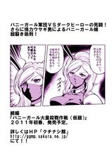 [Goro Mask (kisirian)] Bunny Girl - Crotch Splitting Torture-[寺岡デジタルワークス] 孕ませ幻想郷Take4