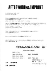 (C79) [LTM. (Taira Hajime)] Nise Dragon Blood! 18 (Original)-(C79) [LTM. (たいらはじめ)] ニセ DRAGON・BLOOD！18 (オリジナル)