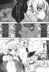 (C79) [Chaotic Wolf (Inuboe)] FILTH IN THE ENVY (Touhou Project)-(C79) (同人誌) [Chaotic Wolf (狗吠)] FILTH IN THE ENVY (東方)