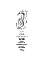 (SC45) [Kohakutei (Sakai Hamachi)] Nanda Neko ka [Rebuild of Evangelion) (Spanish) [XSnF]-(サンクリ45) [琥珀亭 (堺はまち)] なんだネコか (ヱヴァンゲリヲン新劇場版) (スペイン語翻訳) [XSnF]