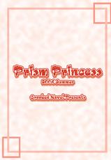 (C66) [Crooked Navel (Sanada Kuro)] Prism Princess (Dewprism [Threads of Fate])-(C66) [Crooked Navel (真田クロ)] Prism Princess (デュープリズム)