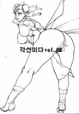(C72) [G-PANDA (Midoh Tsukasa)] Kyakusenbi Cha Vol.02 (Street Fighter) (Korean)-(C72) [Gぱんだ (御堂つかさ)] 脚線美茶 Vol.02 (ストリートファイター) [韓国翻訳]