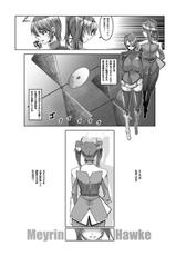 (Puniket 11) [HGH (HG Chagawa)] PLEATED GUNNER #12 (Gundam SEED DESTINY)-(ぷにケット 11) [HGH (HG 茶川)] PLEATED GUNNER #12 (機動戦士ガンダムSEED)