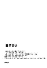 (C80) [Shonnaka-dou (Mitsurugi Ken)] Maman Doujinshi Soushuuhen Lyrical Mamans (Mahou Shoujo Lyrical Nanoha)-(C80) [しょんなか堂(御剱剣)] ままん同人誌総集編 リリカルままんず (魔法少女リリカルなのは)