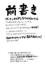 [Syamisen Koubou (Koishikawa)] ONE LIFE (Mahou Shoujo Lyrical Nanoha) [English]-[三味線工房 (小石川)] ONE LIFE (魔法少女リリカルなのは) [英訳]