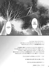 (C76) [Cyber Angel (Murai Aria)] Genei Sampo | Phantom Walk 2 (Touhou Project) [English]-(C76) [Cyber Angel (むらいアリア)] 幻影散歩II (東方Project) [英訳]