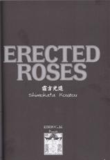[KEBERO Corporation (Shimokata Kouzou)] ERECTED ROSES (Rumble Roses)-[KEBEROコーポレーション (霜方降造)] ERECTED ROSES (ランブルローズ)
