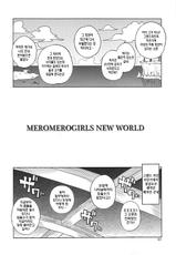 (C81) [Choujikuu Yousai Kachuusha (Denki Shougun)] MEROMERO GIRLS NEW WORLD (One Piece) (Korean)-(C81) [超時空要塞カチューシャ(電気将軍)] MEROMERO GIRLS NEW WORLD (ワンピース) (Korean)