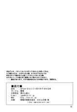 [Hibiki Kagayaki] A Book Where Patchouli and Satori Look Down On You With Disgust (English)-