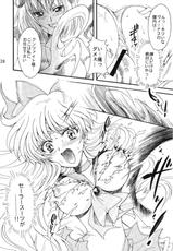 (C69) [Kotori Jimusho (Sakura Bunchou)] Doukei no Daishou (Bishoujo Senshi Sailor Moon)-(C69) [小鳥事務所 (桜文鳥)] 憧憬の代償 (美少女戦士セーラームーン)