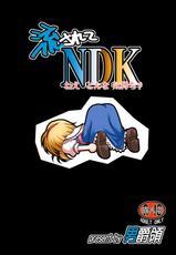 [Danshaku Ryou] Nagasarete NDK (Touhou Project) [English] [desudesu]-