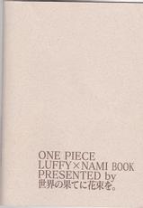 one piece luffy x nami book presented by %-