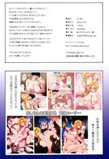 (COMIC1☆6) [Roshiman (Masa-nii)] Tenkuu no Hanayome ni Narenakatta Onna II (Dragon Quest V)-(COMIC1☆6) [ろしまん (マサ兄)] 天空の花嫁になれなかった女II (ドラゴンクエスト5)