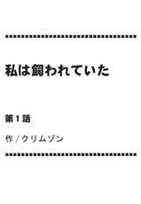 (C81) [Crimson (Carmine)] Kokuu Soushuuhen (Final Fantasy XIII)-(C81) [クリムゾン (カーマイン )] 虚空総集編 (Final Fantasy XIII)