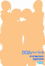 (C80) [ShimaPan (Ominaeshi)] DOA Harem (Dead or Alive) [English] [QB translations]-(C80) [しまぱん (オミナエシ)] DOAハーレム (デッドオアアライブ) [英訳]