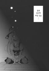 (COMIC1☆6) [Water Drop (MA-SA)] Ningyou Shisou (Touhou Project) (korean)-(COMIC1☆6) [うぉーたーどろっぷ (MA-SA)] 人形思想 (東方Project) [韓国翻訳]