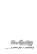 (Reitaisai 9) [Alice no Takarabako (Mizuryu Kei)] Touhou Gensou Houkai Ni (Touhou Project) [Korean] [WithoutMe]-(例大祭9) [ありすの宝箱 (水龍敬)] 東方幻想崩壊弐 (東方Project) [韓国翻訳]