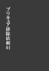 (C83) [Akuochisukii Kyoushitsu (Akuochisukii Sensei)] Precure Elimination Request #01 (Pretty Cure)-[アクオチスキー教室 (アクオチスキー先生)] プリキュア排除依頼01 (ふたりはプリキュア) [DL版]