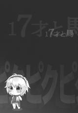 (Reitaisai 10) [Ero Mangaka Pikupikun (Pikupikun)] 17-sai to Uma (Touhou Project)-(例大祭10) [えろ漫画家ピクピクン (ピクピクン)] 17才と馬 (東方Project)