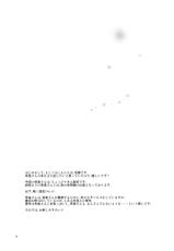 (C84) [Angel Bless (Tsukiji)] Kore wa Ze-ttai ni Naisho desu kara ne! (Touhou Project)-(C84) [Angel Bless (月路)] これはぜーったいに内緒ですからね! (東方Project)