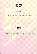 (Futaket 9.5) [Butagoya (Kemigawa Mondo, Bonten)] Tokyo Hentai Collection (Various)-(ふたけっと9.5) [ぶた小屋 (検見川もんど, 梵典)] 東京ヘンタイコレクション (よろず)