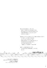(C85) [Reverse Noise (Yamu)] Loose Strings (Touhou Project)-(C85) [Reverse Noise (やむっ)] Loose Strings (東方Project)