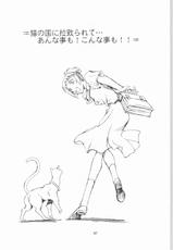 [Okinawa Taieki Gunjinkai(Yasunaga Kouichirou)] Neko no Isyugaeshi-[沖縄体液軍人会] 猫の意趣返し