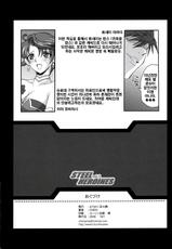 (SC33) [Youkai Tamanokoshi (Chiro)] Steel Heroine Vol. 2 (Super Robot Wars) [Korean] {BIGBAE}-(サンクリ 33) [ようかい玉の輿 (ちろ)] Steel Heroine Vol. 2 (スーパーロボット大戦) [韓国翻訳]
